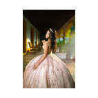 Imagen de fiesta quince años con organización de Landa eventos Xalapa