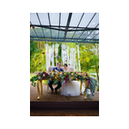 Imagen de boda en Salón Villa Campestre Xalapa con banquete y fiesta nupcial