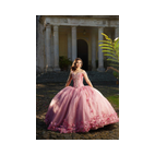 Imagen de fiesta de quince en Xalapa Laylas Banquetes Luis Miguel Fotografo