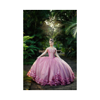 Imagen de fiesta de quince en Xalapa Laylas Banquetes Luis Miguel Fotografo